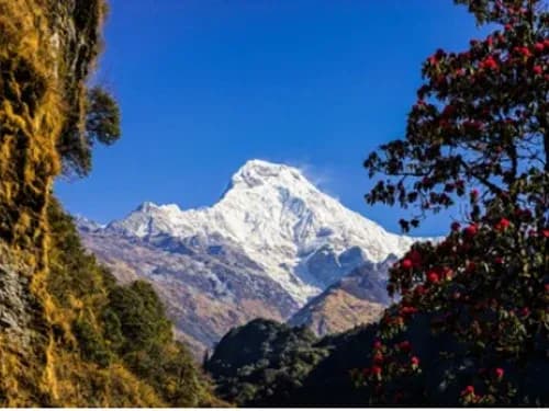 Annapurna Region